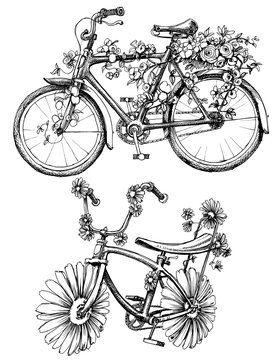 Bikes with flowers drawings set