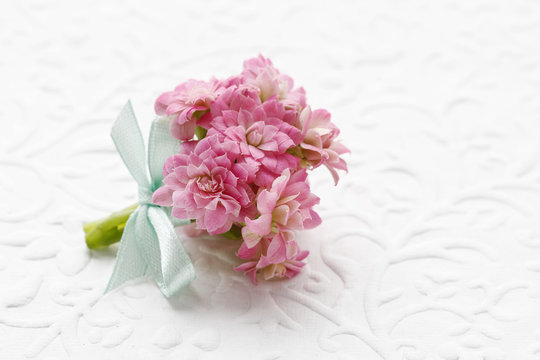 Beautiful tiny bouquet of pink kalanchoe blossfeldiana flowers a