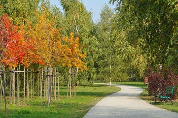 The colors of autumn - the beginning of autumn - the park in Lodz
