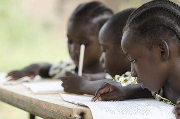 Two beautiful African girls and one African boy reading and writing at school as an educational...