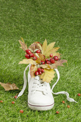 gumshoes with flowers inside on green grass