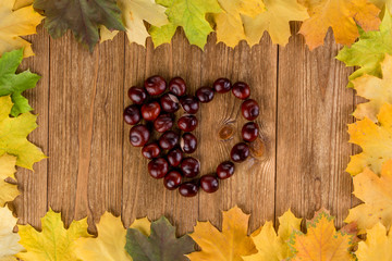 Autumn leaves frame and chestnuts heart