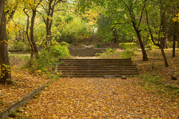 Old stone stairs in the park