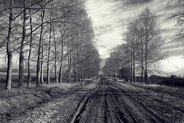 black and white photo autumn landscape - Powered by Adobe