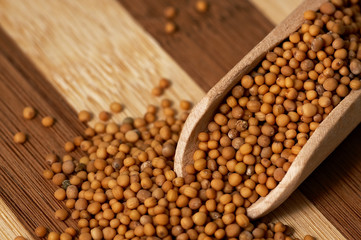 Mustard seed on a wooden, two colored board.