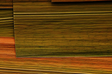 texture plant fiber leaf to the light