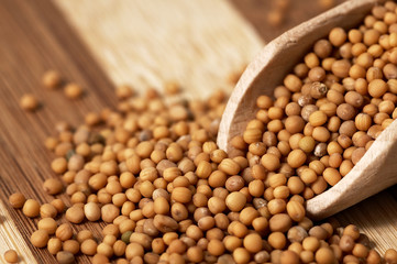 Mustard seed on a wooden, two colored board.