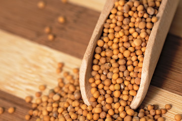 Mustard seed on a wooden, two colored board.