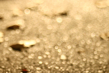 Fototapeta premium fallen yellow autumn leaves background, texture