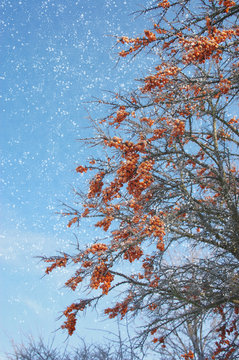 Winterlandschaften