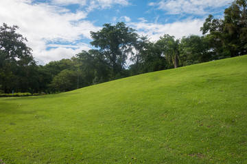 Fototapeta na wymiar Hills of green grass