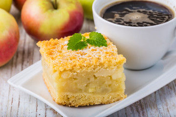 Homemade apple pie on white plate