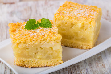 Homemade apple pie on white plate