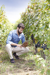 Young winemaker working