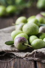 Raw olive for making oil