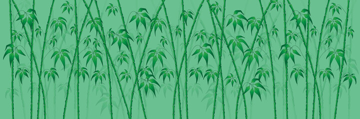 bamboo on green vector background