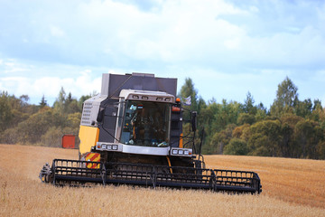 Fototapeta premium tractor in a field to harvest