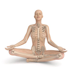 3D meditating woman - xray skeleton version, isolated on white background