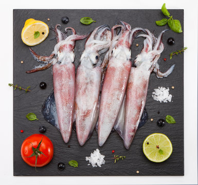 squid dish slate (Loligo vulgaris).