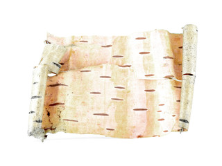 Birch bark scroll isolated on white background