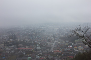 Foggy dark forest with branch
