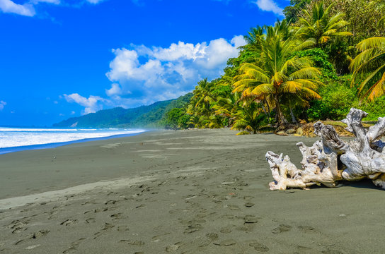 Wild beach at Corcovado Jungle in Costa Rica
