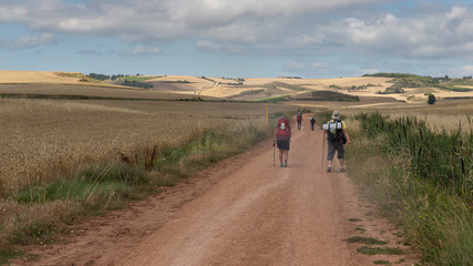Pilgrims on their way to Santiago de Compostela near Ciruena