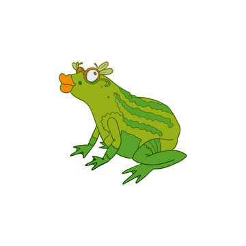 Princess Frog with lips colored vector sketch