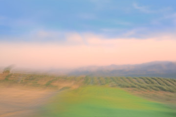 Colorful bright natural background blurred