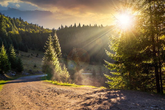 Empty gravel mountain road near the coniferous forest with cloudy sky in morning light