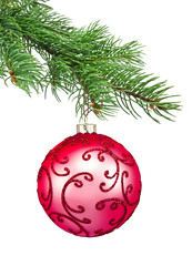 Red ornament christmas ball in a fir tree