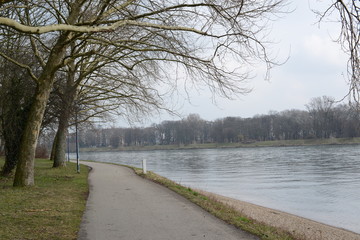 Rhein_0002