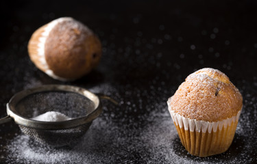 Sugar powdered madeleines