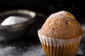 Sugar powdered madeleine
