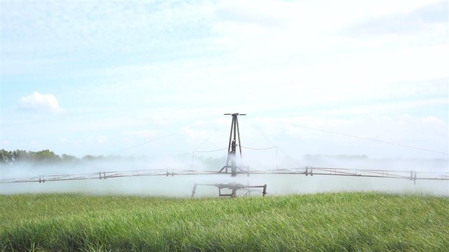 An irrigation machine spraying water on a wheat field during a warm spring day. The camera is panning from left to right.