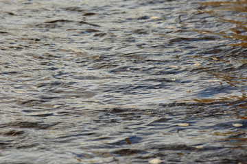 texture of pure water