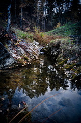 Little lake in forest on autumn day