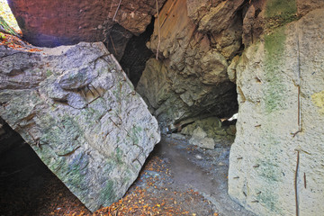 Fototapety na wymiar - Fototapeta24.pl