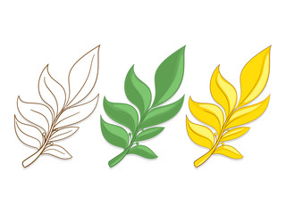 Branches of laurel vector illustration