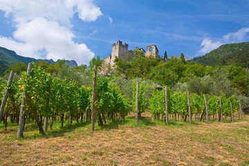 Fototapeta na wymiar Burg Castello di Avio