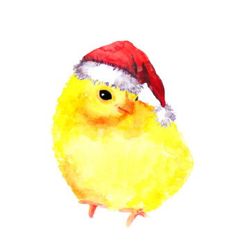 New year baby chicken in red santa's hat. Watercolour bird