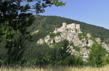 Fototapeta na wymiar Strecno ruin castle