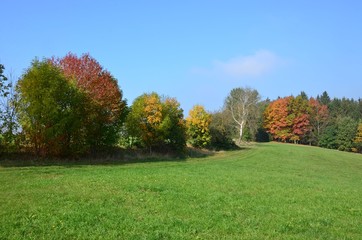 Herbstliche Naturlandschaft