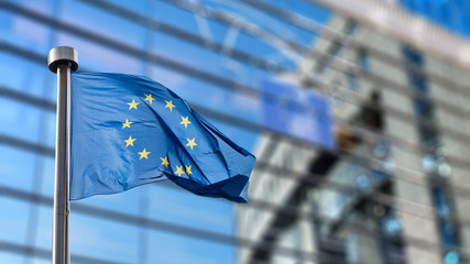 European Union flag against European Parliament - obrazy, fototapety, plakaty