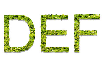 Letter D E F made of green grass isolated on white
