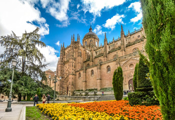 Cathedral of Salamanca, Castilla y Leon, Spain - obrazy, fototapety, plakaty