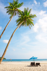 Tropical white sand with palm trees