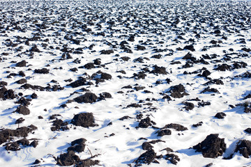 under snow