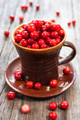 fresh red berries on wooden table