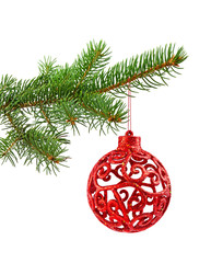 Branch of Christmas tree